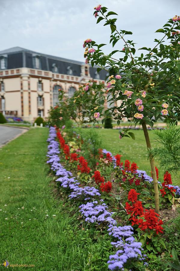 Nom de l'image : D30011828_1_(c)Norbert-JUNG — Description :